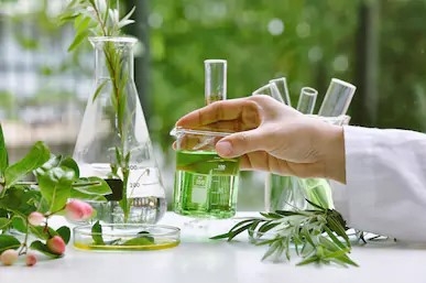 實(shí)驗(yàn)室